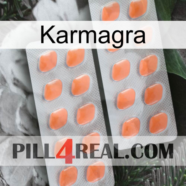 Karmagra 27.jpg